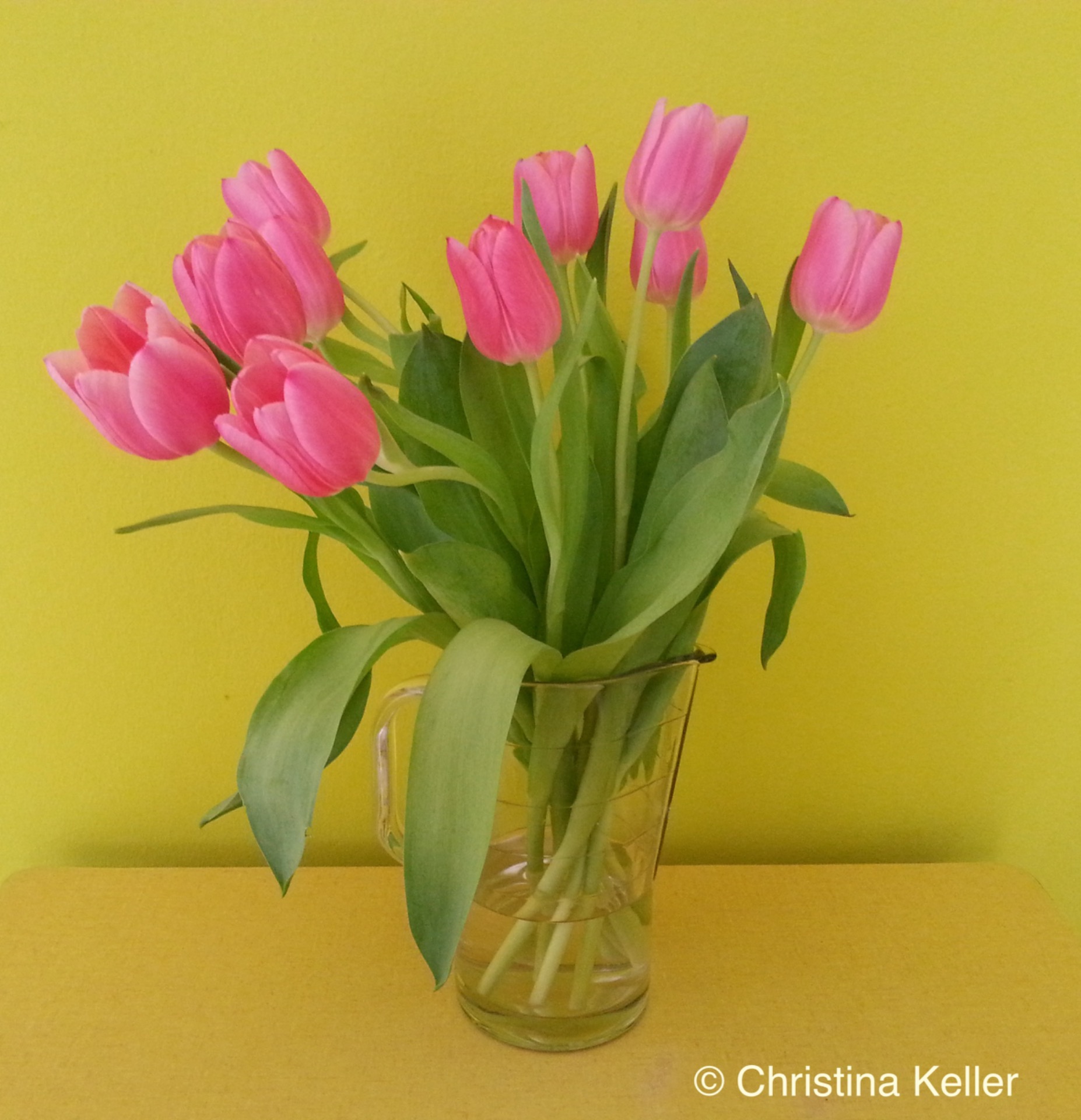 Ich freue mich auf Sie!